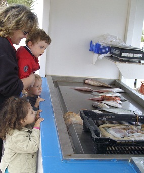 PIQUE NIQUE poissons